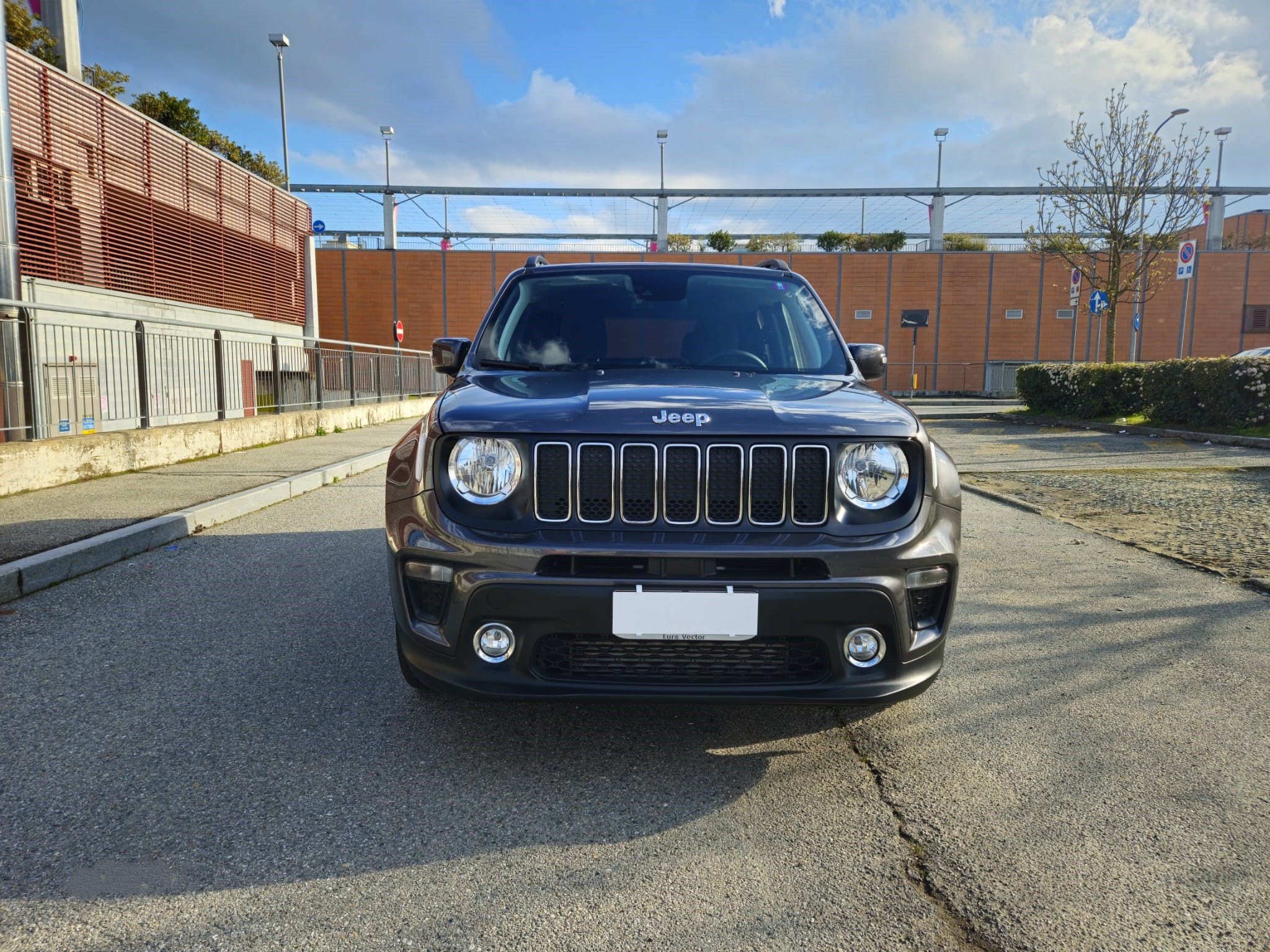 JEEP Renegade 2019 1.6 mjt Longitude 2wd 120cv